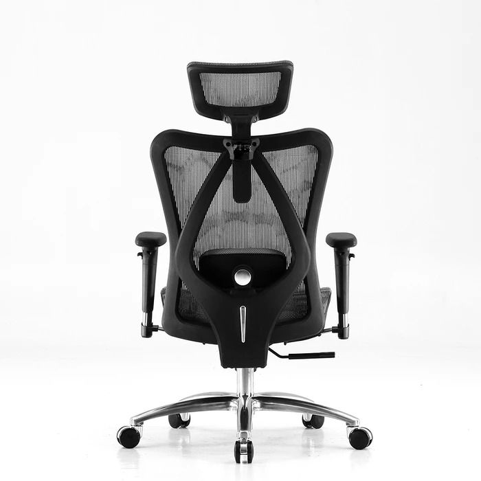 ghe cong thai hoc m57 ergonomic chair den h2