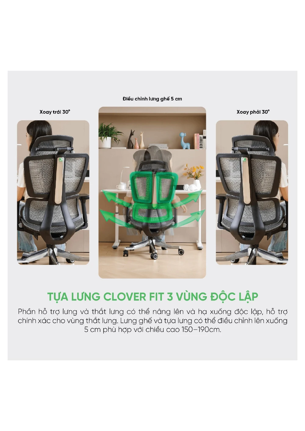 Ghế công thái học Upgen Revolution