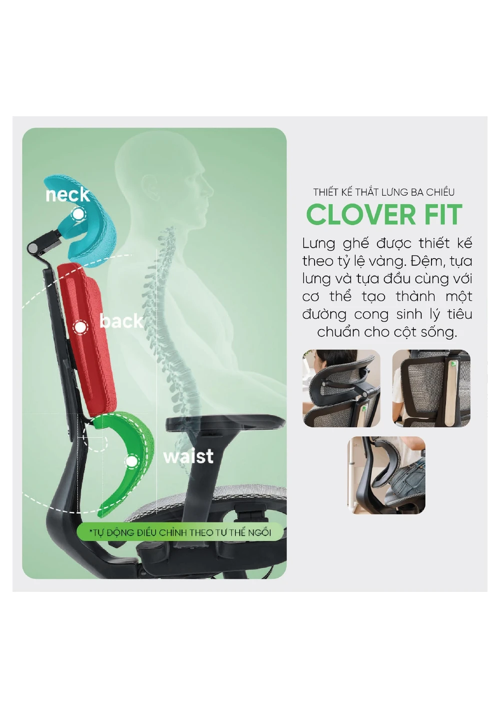 Ghế công thái học Upgen Revolution